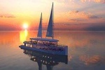 Lan Ha Bay 1 Day-The Only Luxury Cruise Exploring Lan Ha Full Day 