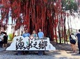 Sekinchan Paddy Field And Fishing Village Tour