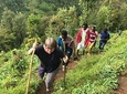 Materuni Waterfalls & Coffee Tour