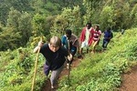 Materuni Waterfalls & Coffee Tour