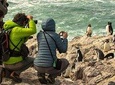 PUERTO MADRYN: Getaway for the day El Pedral, Pinguinos, picnic with lunch