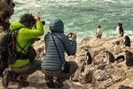 PUERTO MADRYN: Getaway for the day El Pedral, Pinguinos, picnic with lunch