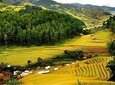 Mai Chau-Pu Luong 1/2/3 days tour - A nice valley mixes with a nature reserve