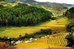 Mai Chau-Pu Luong 1/2/3 days tour - A nice valley mixes with a nature reserve