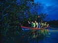 Amazing Kuala Selangor Fireflies Tour - Sic