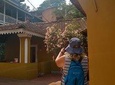 Panaji City Tour with museum visit