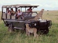 5 Days Aberdares Lake Nakuru & Masai Mara Wildlife Safari