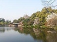 Classic Hangzhou city day tour