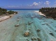 Reef island private tour