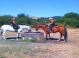 Private Horseback Riding and Muir Woods Adventure from San Francisco