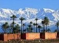 Palmeraie Camel Ride Experience from Marrakech