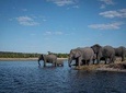 Chobe Day Trip