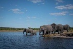 Chobe Day Trip