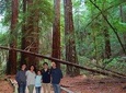 Private Russian River Day Trip from San Francisco: Redwoods and Wine Country
