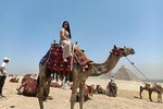 Half day Guided tour to Giza pyramids Sphinx with 1 Hour Camel ride