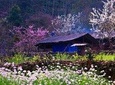 Private Tour: Hanoi - Ha Giang 3 days/2 nights