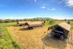 7 Days Kenya budget safari, Amboseli, Aberdares, Lake Nakuru, Masai Mara Budget 