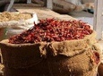 Old Delhi's Belly