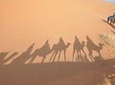 Fes to Fes 2 days via Merzouga desert tour