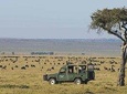 10 Days Africa Photographic Safaris Package