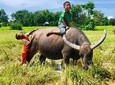 2-Day Temples with Angkor Wat Sunrise Tour of Siem Reap