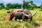 2-Day Temples with Angkor Wat Sunrise Tour of Siem Reap