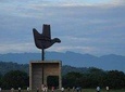 Private Tour: Chandigarh from Delhi Day Trip