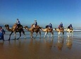 Camel Riding In Agadir 