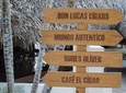 Guided Shopping Tour (Cigars and chocolate factory, souvenirs, rum, coffee)