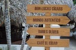 Guided Shopping Tour (Cigars and chocolate factory, souvenirs, rum, coffee)