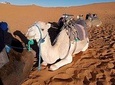 3 days desert Tours _ small Groups