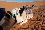 3 days desert Tours _ small Groups
