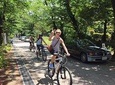 Small Group Cycling Tour in Tokyo