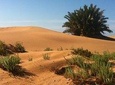 Desert Experience: 6-day jeep tour Southern Morocco