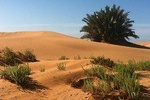 Desert Experience: 6-day jeep tour Southern Morocco