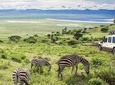 7 Days / 6 Nights Safari To Tarangire / Lake Manyara / Ngorongoro / Serengeti 