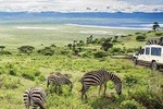 7 Days / 6 Nights Safari To Tarangire / Lake Manyara / Ngorongoro / Serengeti 