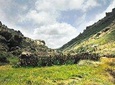 3 days Mt. Elgon hiking and Sipi falls