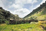 3 days Mt. Elgon hiking and Sipi falls