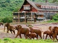 Private 7 days Kenya's Best wildlife safari