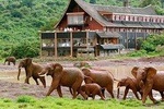 Private 7 days Kenya's Best wildlife safari