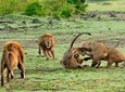 3 – Days Essence of Tanzania