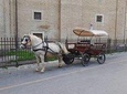 strolling in a carriage in the Assisane countryside