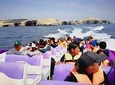 Paracas Fullday - Islas Ballestas y Nationalpark in Minibuggy