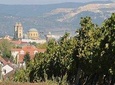 Private winetasting and sightseeing tour to Eger, home to Bull's Blood wine!