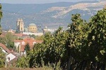 Private winetasting and sightseeing tour to Eger, home to Bull's Blood wine!
