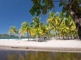 Shuttle Service From Liberia Airport To Samara And Carrillo Beach
