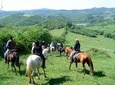 Horse riding excursion