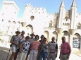 Avignon and Pont du Gard Tour