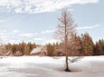 Private CROSS-COUNTRY SKIING in Czech mountains